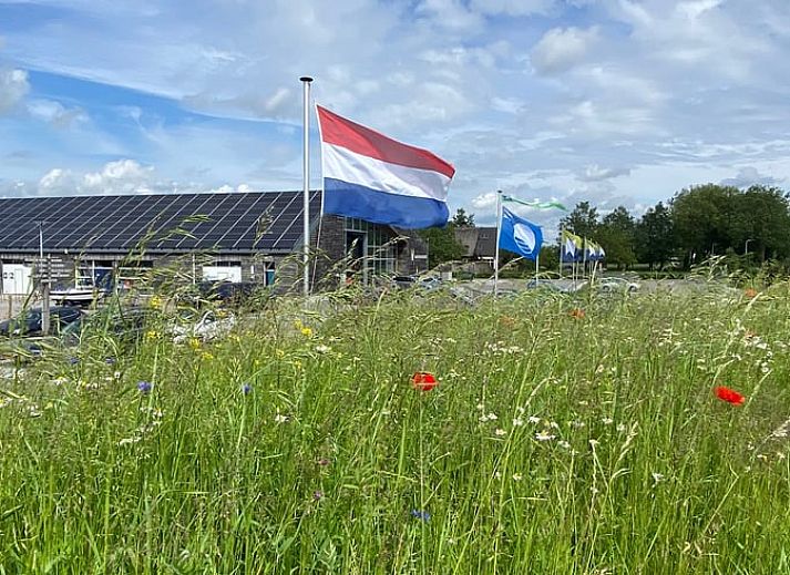 Unterkunft 581008 - Ferienhaus Utrecht eo - Huisje in IJsselstein
