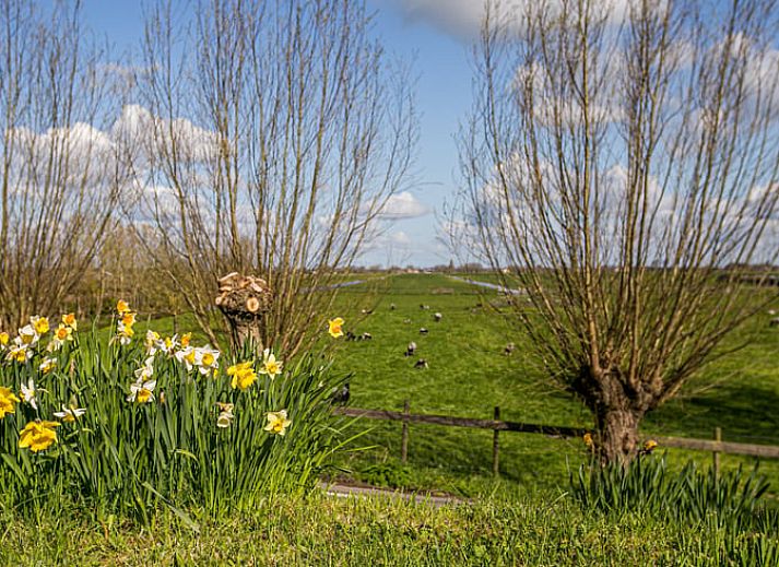 Luchtfoto van Vakantiehuisje in Hekendorp, Utrecht, met rieten daken en uitzicht op een rustige rivier en groene omgeving.