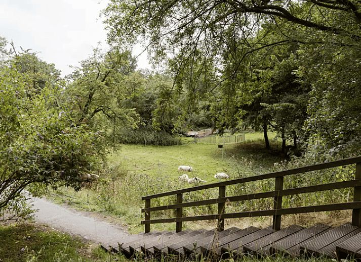 Verblijf 5810301 - Vakantiewoning Utrecht eo - Huisje in Nieuwegein