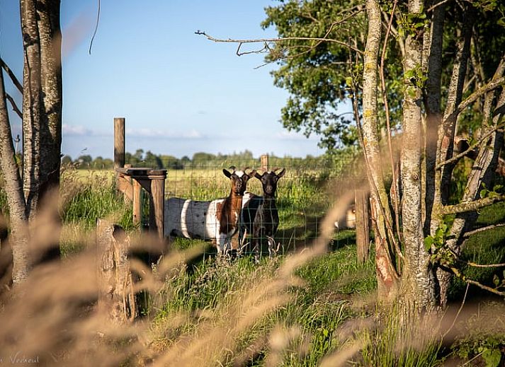 Unterkunft 582102 - Ferienhaus Utrecht eo - Vakantiehuisje in Oudewater