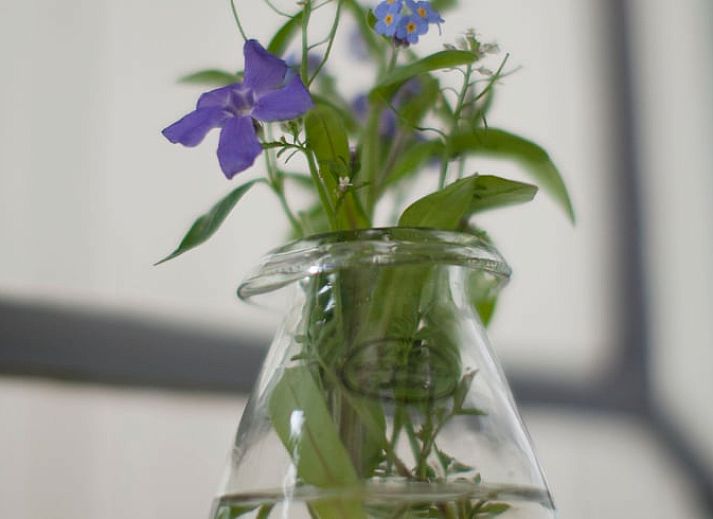 Unterkunft 582104 - Ferienhaus Utrecht eo - Huisje in Oudewater