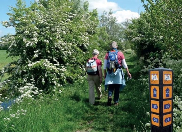 Guest house 582105 - Holiday property Utrecht eo - Vakantiehuisje in Oudewater