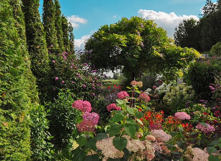 Guest house 582804 - Holiday property Utrecht eo - Vakantiehuisje in Groenekan, Gemeente De Bilt