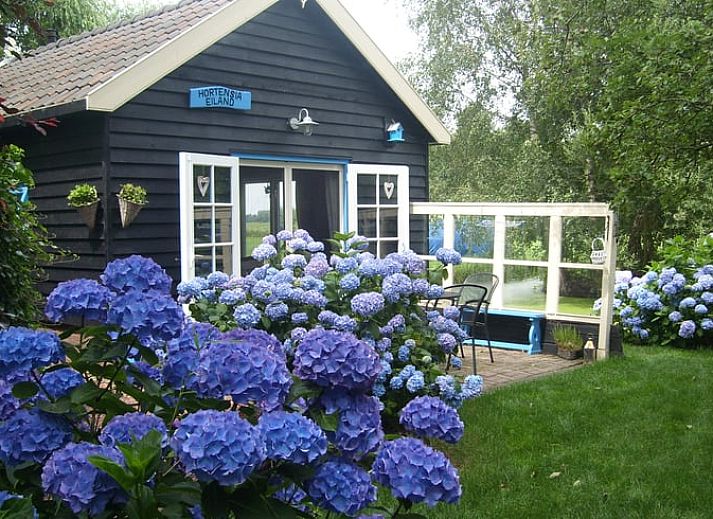 Cottage in Zegveld, vacation home with colorful hydrangeas in Zegveld, Utrecht. Enjoy nature and tranquility in this charming accommodation.