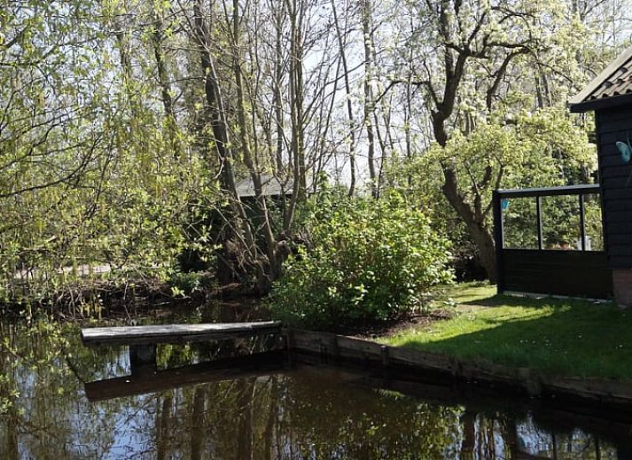 Cottage in Zegveld, vacation home with colorful hydrangeas in Zegveld, Utrecht. Enjoy nature and tranquility in this charming accommodation.