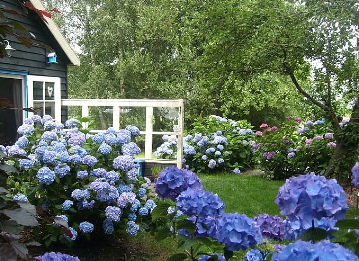 Entrance of Huisje in Zegveld, vacation home in Zegveld, Utrecht. Welcome to this cozy accommodation surrounded by flowering trees.