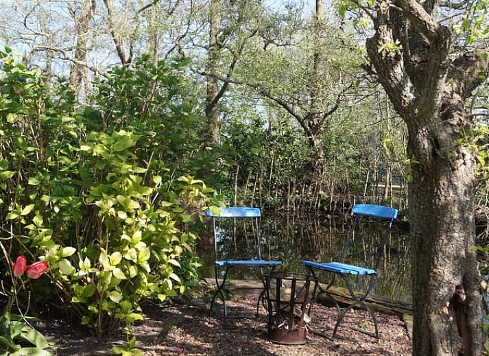 Sonnige Terrasse im Cottage in Zegveld, ideal fuer Entspannung in Zegveld, Utrecht eo, Utrecht.