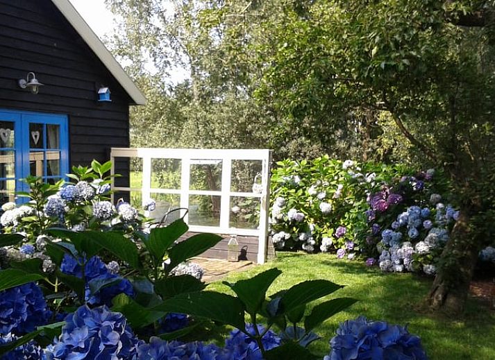 Gemuetliches Wohnzimmer des Huisje in Zegveld mit Blick auf die Natur in Zegveld, Utrecht eo, Utrecht.