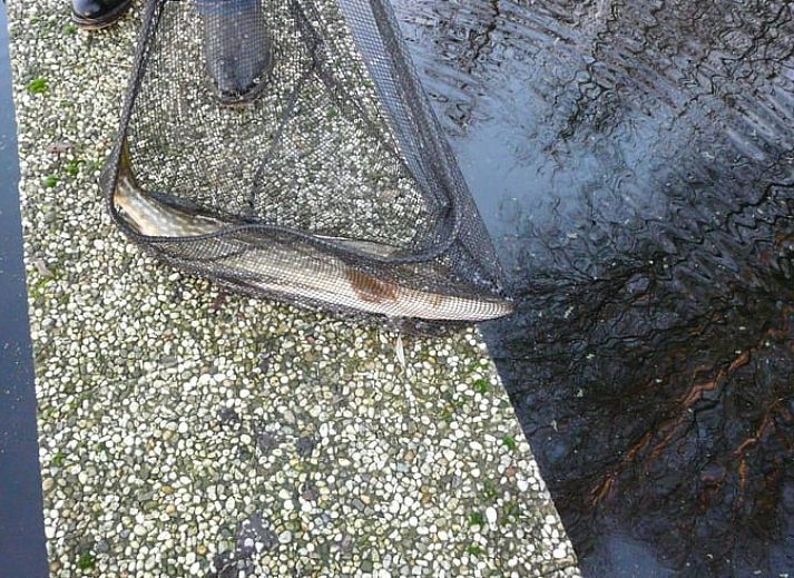 Gemuetliches Wohnzimmer des Huisje in Zegveld mit Blick auf die Natur in Zegveld, Utrecht eo, Utrecht.
