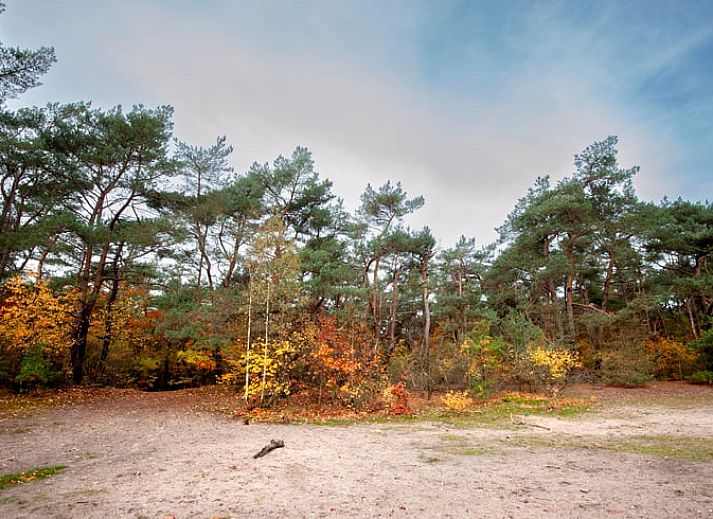 Zonnig terras van Vakantiehuisje in Bilthoven, Utrecht, met groene omgeving.
