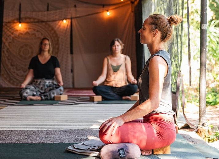 Guest house 589608 - Holiday property Utrecht eo - Huisje in Kedichem