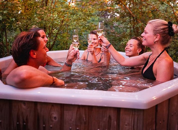 Guest house 589608 - Holiday property Utrecht eo - Huisje in Kedichem