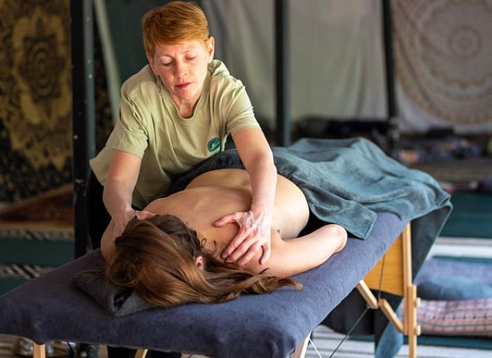 Guest house 589608 - Holiday property Utrecht eo - Huisje in Kedichem