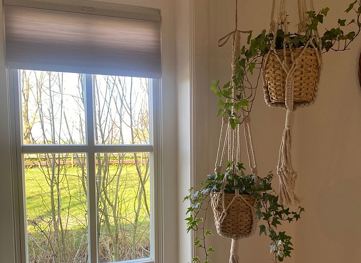 Guest house 589803 - Holiday property Utrecht eo - UT118