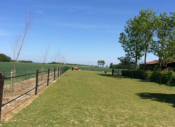 Open keuken en eetruimte in Vakantiehuis in Wissenkerke, ideaal voor familiediners in Zeeland.