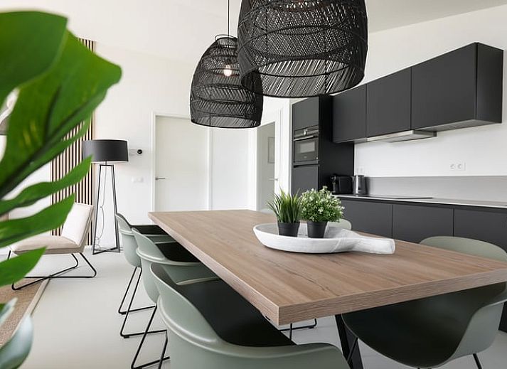 Die Aussenterrasse des Ferienhauses in Wissenkerke bietet einen Panoramablick auf die gruene Umgebung von Nord-Beveland, Zeeland.