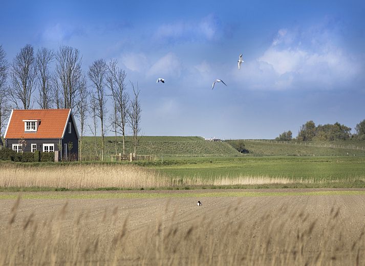 Unterkunft 590162 - Ferienhaus Noord-Beveland - Groeneweg 4