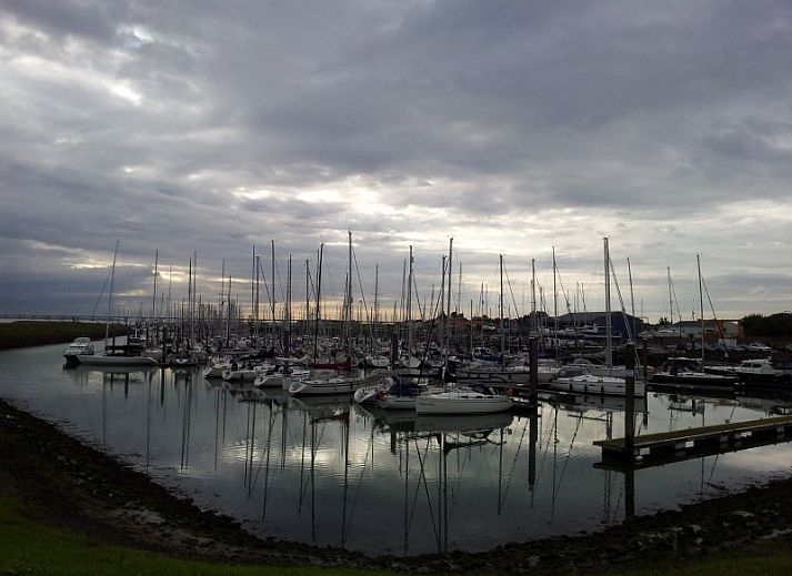 Zonnig dakterras van Inn d'n Eenhoorn in Colijnsplaat, Noord-Beveland, ideaal voor ontspanning en genieten van de omgeving.