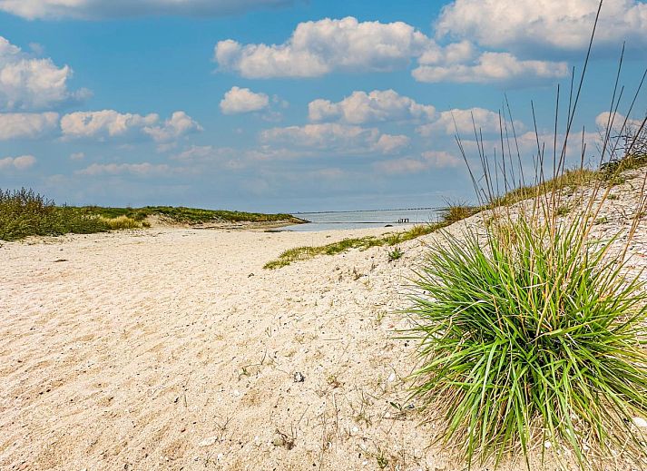 Guest house 590243 - Holiday property Noord-Beveland - Happy Beach 44