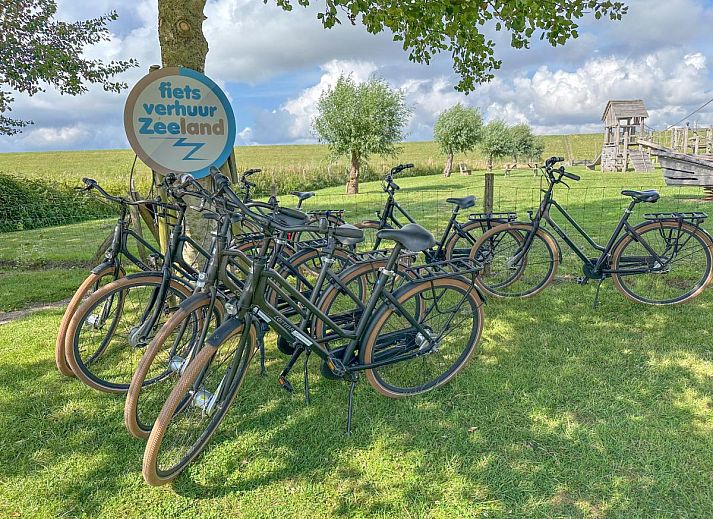 Gezellige woonkamer met open haard in Coast Calm 71 vakantiehuis, Colijnsplaat.