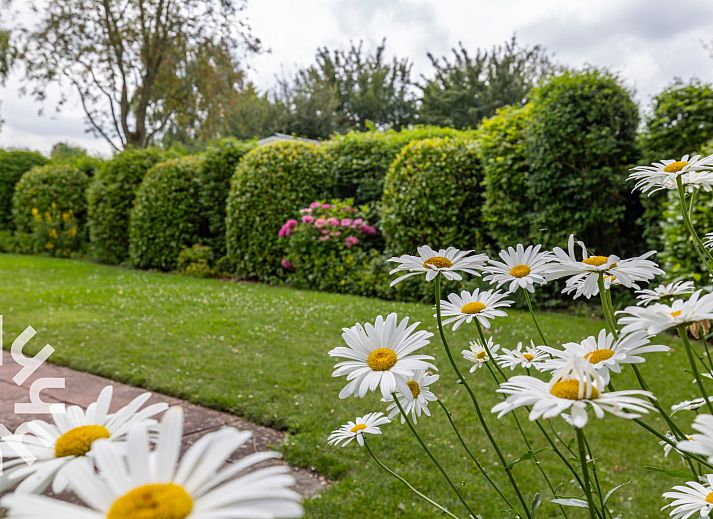 Blick in den Garten des Ferienhauses ZE167 in Kamperland, umgeben von Gruen und Blumen.