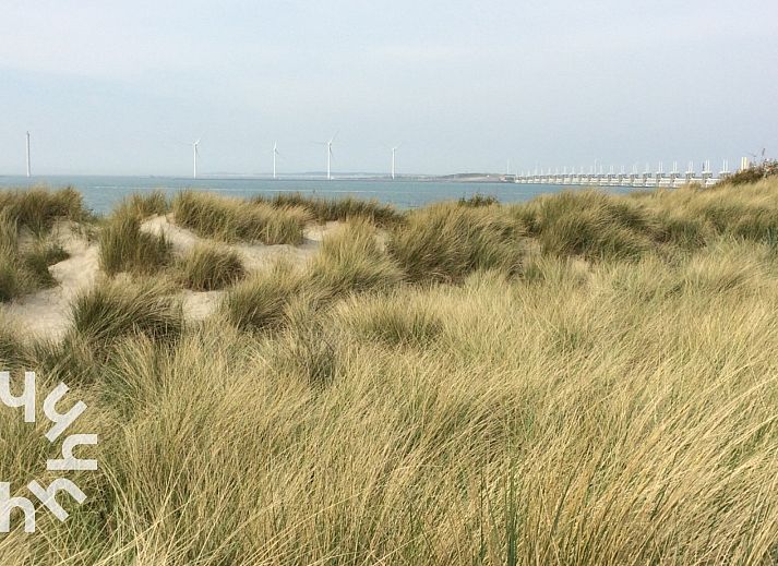 Eingang zum Ferienhaus ZE1121 in Kamperland, Zeeland mit Holzmoebeln.