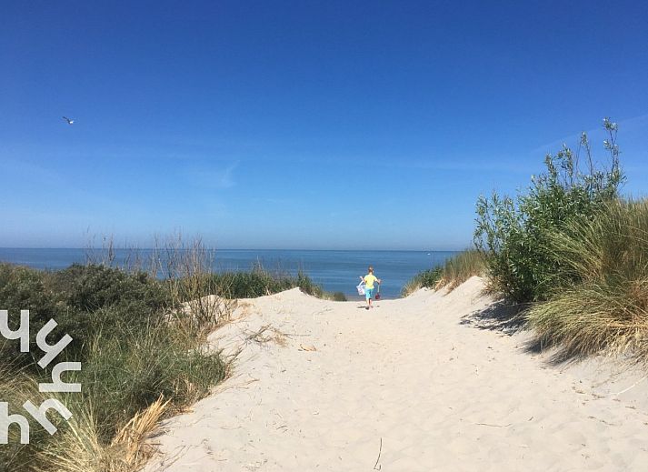 Gemuetliches Wohnzimmer des Ferienhauses ZE1121 in Kamperland, Zeeland mit bequemem Sofa.