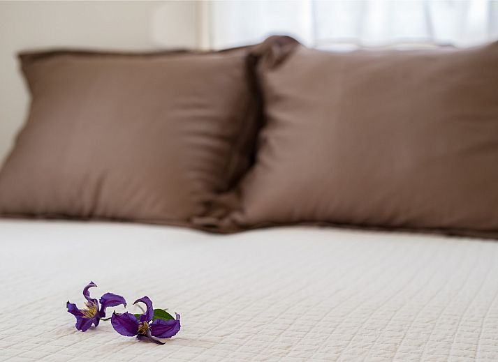 Unterkunft 5903121 - Bungalow Noord-Beveland - Vakantiebungalow Ruiterplaat &quot;Eikenlaan 18&quot;