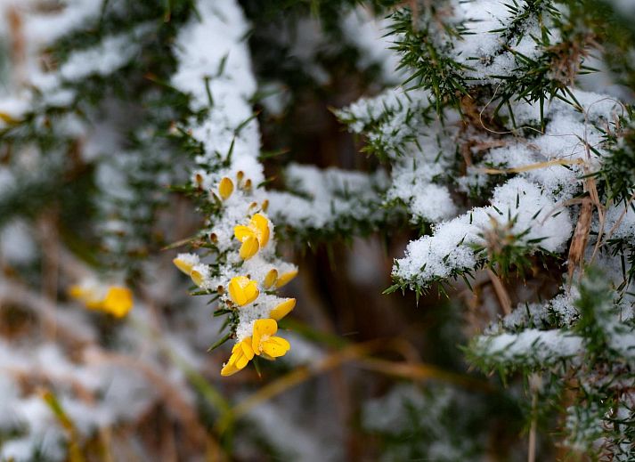 Gezellige woonkamer met open haard in Duinvallei 29 | De Groote Duynen, Kamperland. Vakantiehuis in Noord-Beveland, Zeeland.