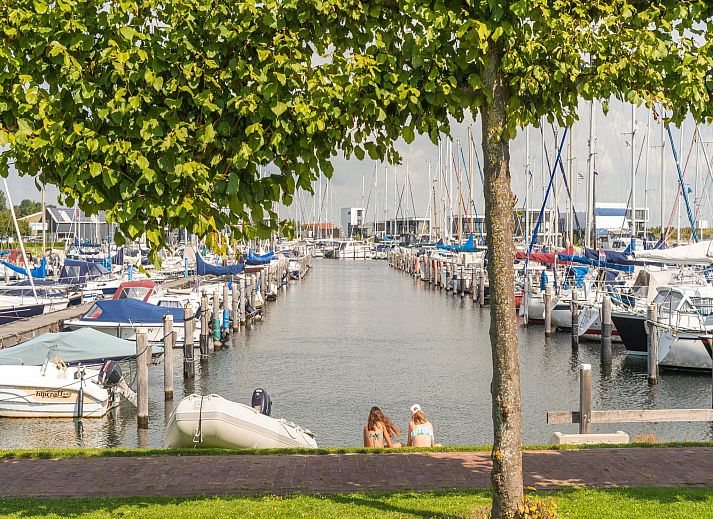 Guest house 5903172 - Apartment Noord-Beveland - Harbour Loft 2i Résidence Marina polderzijde
