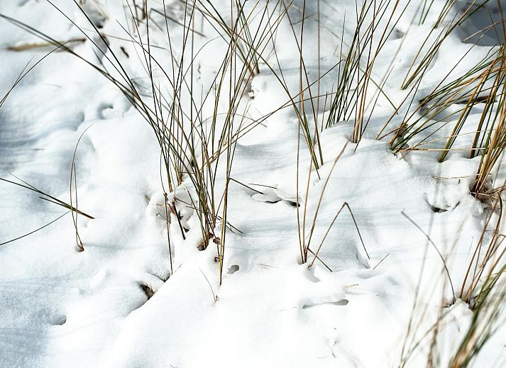 Duinvallei 24 | De Groote Duynen in Kamperland, vakantiehuis met uitzicht op winterse vijver en natuur in Zeeland.