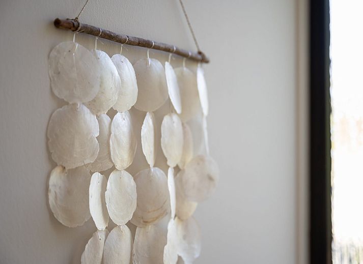 Sonnige Terrasse in Wilgenlaan 1 | Ruiterplaat, Ferienhaus in Kamperland, mit Blick auf den Garten.