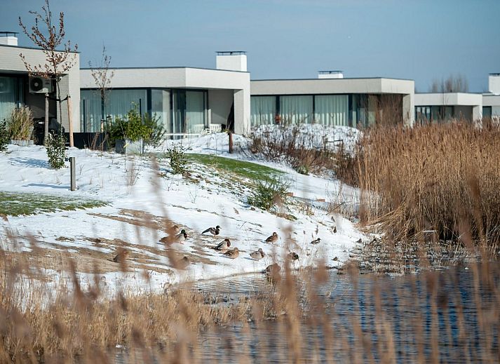 Geraeumiges Wohnzimmer mit Kamin in Duinvallei 26, De Groote Duynen, Kamperland, Ferienhaus in Noord-Beveland, Zeeland.