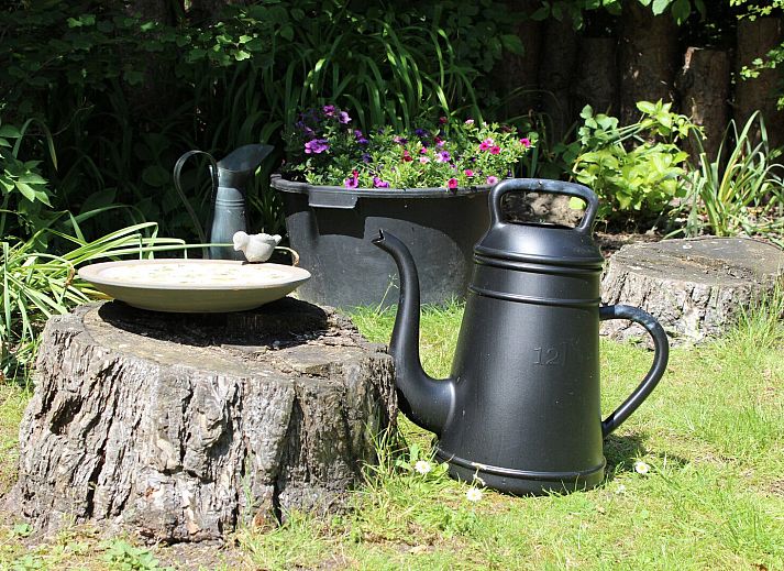 Veranda van vakantiehuis Populierenlaan 1 | Ruiterplaat in Kamperland, met uitzicht op groene tuin.