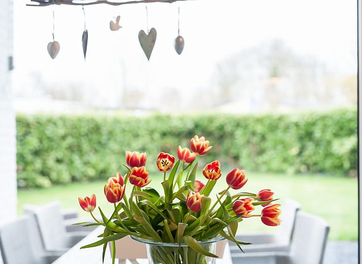 Gezellige woonkamer in Patrijzenlaan 5, De Banjaard, Kamperland met uitzicht op de tuin.