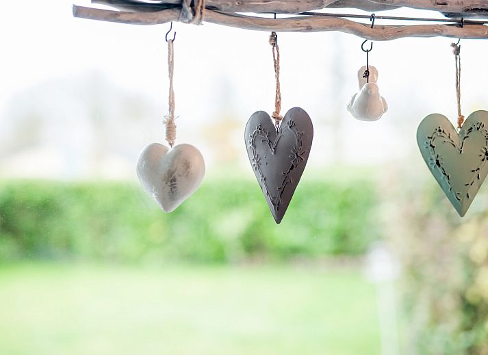 Knusse zithoek met een fles wijn in Patrijzenlaan 5, De Banjaard, Kamperland.