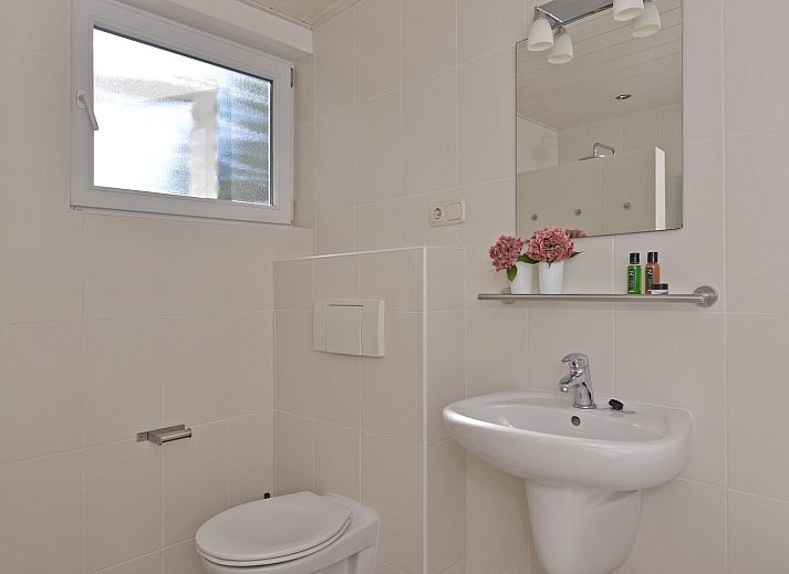 Gemuetliche Terrasse mit Blumen und Wein in der Saturnuslaan 14 Rancho Grande in Kamperland, ideal fuer entspannte Abende.