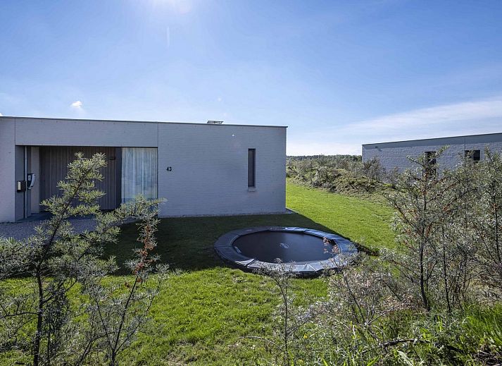 Natuerliche Umgebung um Duinvallei 43, Bungalow in Kamperland, mit schottischem Highlander im Schnee.