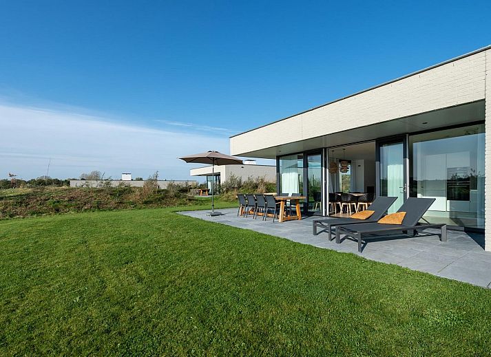 Gruppe schottischer Highlander in der verschneiten Landschaft um Duinvallei 43, Kamperland, Nord-Beveland.