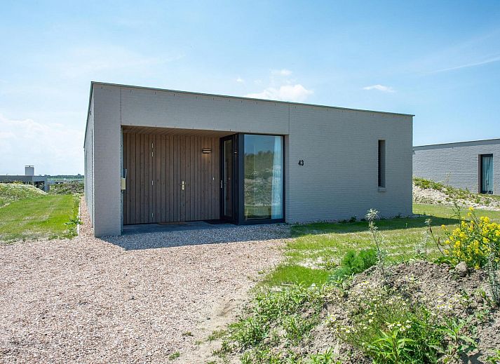 Gruppe schottischer Highlander in der verschneiten Landschaft um Duinvallei 43, Kamperland, Nord-Beveland.