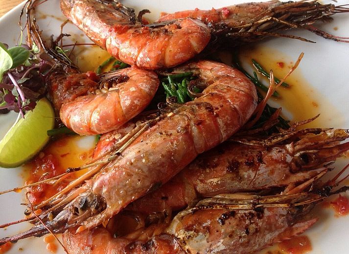 Cozy terrace with barbecue at Ostrea 16 vacation home, Roompot Beach Resort in Kamperland, Zeeland.