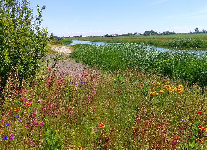 Cozy sitting area in Waterline 04, De Groote Duynen, Kamperland, Zeeland.