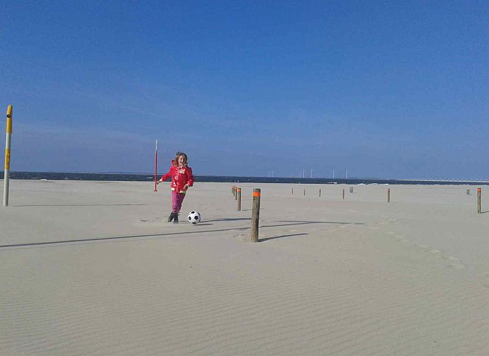 Guest house 5903377 - Holiday property Noord-Beveland - ZE339