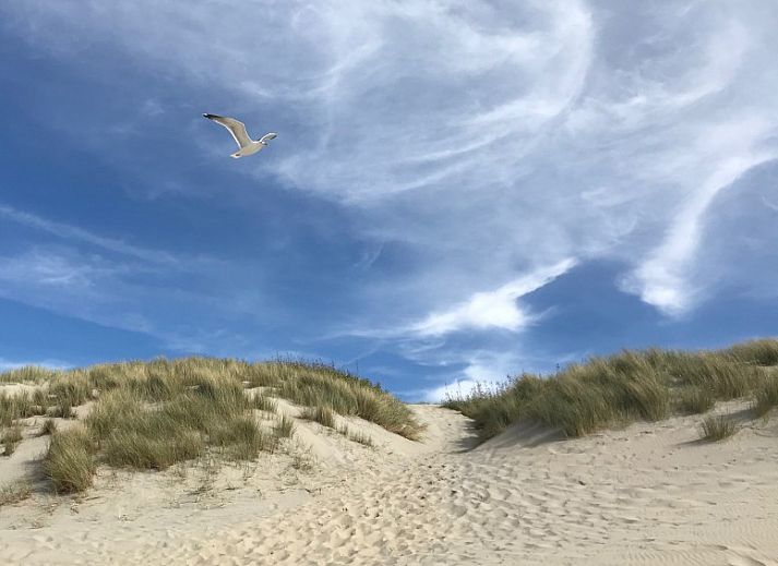 Moderne keuken in Zeeland-Strandhuis vakantiehuis Kamperland, met uitzicht op woonkamer, Noord-Beveland, Zeeland.