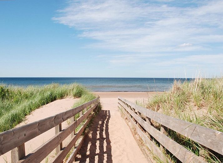 Stilvoller Aussenkamin im Garten des Ferienhauses VZ1178 in Kamperland, perfekt fuer Sommerabende.
