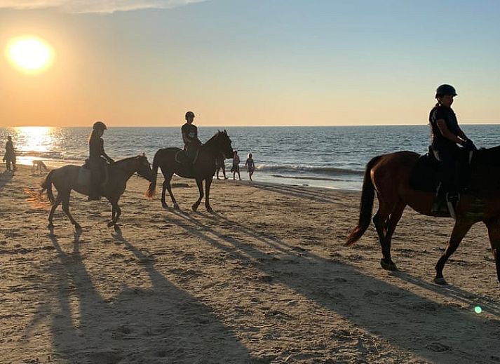 Gemuetliche Sitzecke im Ferienhaus in Kamperland, perfekt fuer Entspannung in Noord-Beveland, Zeeland.