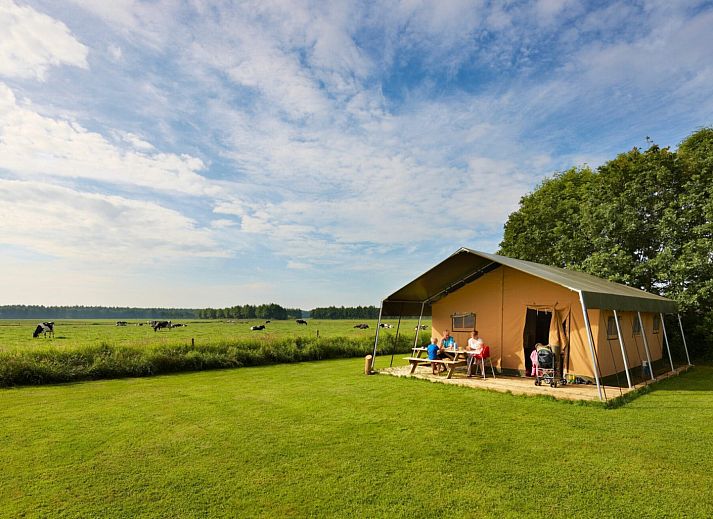 Verblijf 5903442 - Tenthuis Noord-Beveland - Safaritent + Airco
