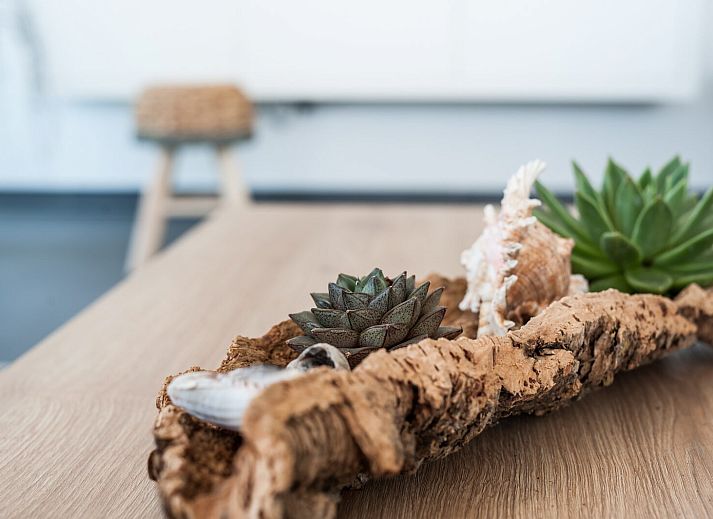 Unterkunft 5903464 - Bungalow Noord-Beveland - Zandbank 12 | De Groote Duynen