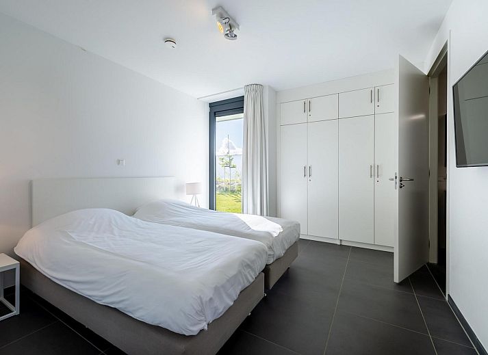 Ducks at snowy bank in Duinvallei 06, vacation home in Kamperland, North Beveland, Zeeland.