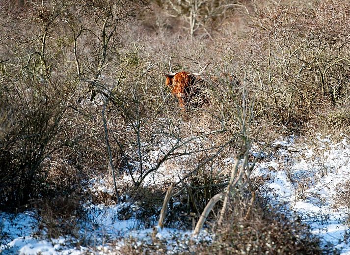 Gemuetliche Sitzecke in der Zandbank 11 | De Groote Duynen, Kamperland, Noord-Beveland, mit bequemem Sofa und grossen Fenstern.